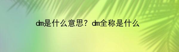 dm是什么意思？dm全称是什么