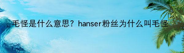 毛怪是什么意思？hanser粉丝为什么叫毛怪