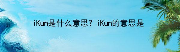iKun是什么意思? iKun的意思是