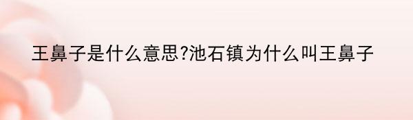 王鼻子是什么意思?池石镇为什么叫王鼻子