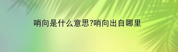 從哨聲到終場(chǎng)哨