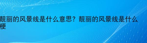 靓丽的风景线是什么意思? 靓丽的风景线是什么梗