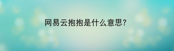 网易云抱抱是什么意思?