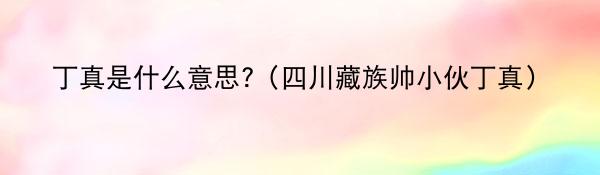 丁真是什么意思?(四川藏族帅小伙丁真)