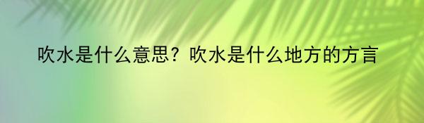 吹水是什么意思? 吹水是什么地方的方言