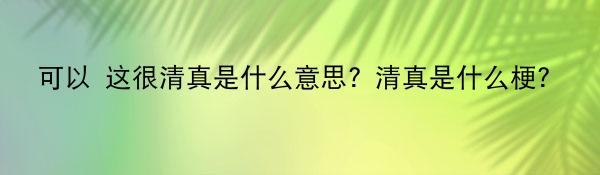 可以 这很清真是什么意思？清真是什么梗?