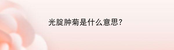 光腚肿菊是什么意思？