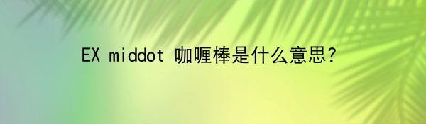 EX middot 咖喱棒是什么意思?