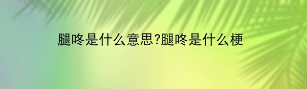 腿咚是什么意思?腿咚是什么梗