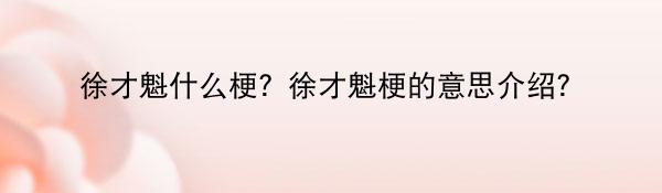 徐才魁什么梗？徐才魁梗的意思介绍？
