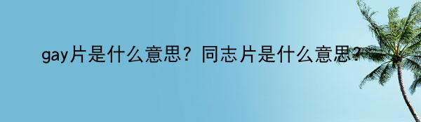 gay片是什么意思? 同志片是什么意思? 