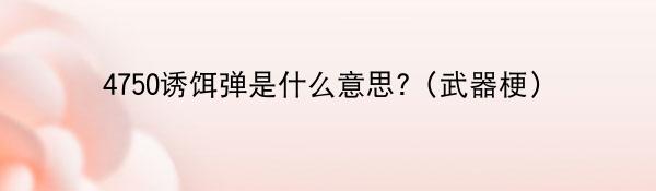 4750诱饵弹是什么意思?(游戏里武器梗)