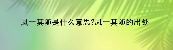 凤一其随是什么意思?凤一其随的出处