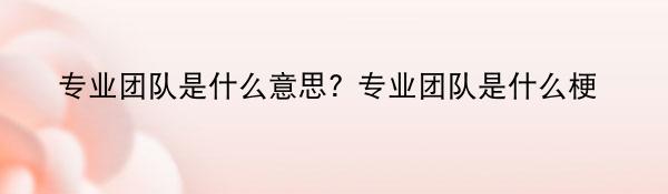 专业团队是什么意思? 专业团队是什么梗