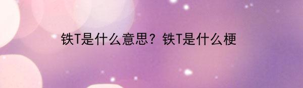 铁T是什么意思? 铁T是什么梗