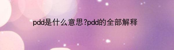 pdd是什么意思?pdd的全部解释
