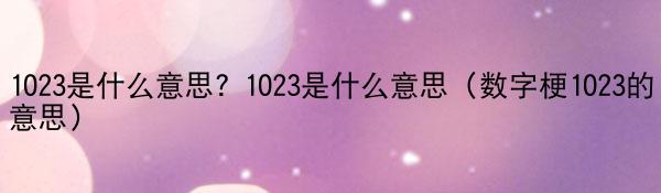 1023是什么意思? 1023是什么意思（数字梗1023的意思）