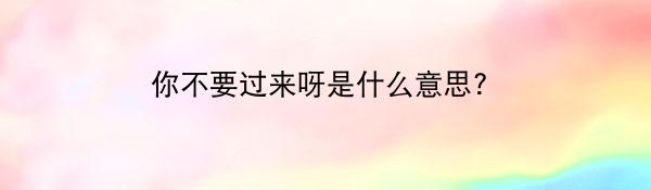 你不要过来呀是什么意思?