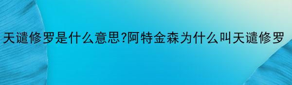 天谴修罗是什么意思?阿特金森为什么叫天谴修罗