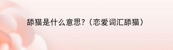 舔猫是什么意思?(恋爱词汇舔猫)