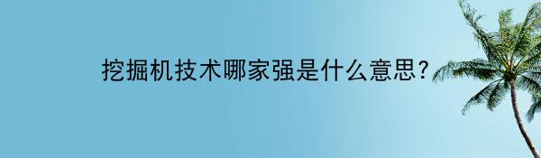 挖掘机技术哪家强是什么意思?