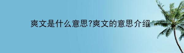 爽文是什么意思?爽文的意思介绍