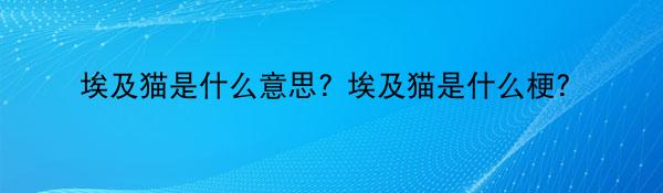 埃及猫是什么意思? 埃及猫是什么梗？