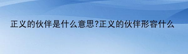 正义的伙伴是什么意思?正义的伙伴形容什么