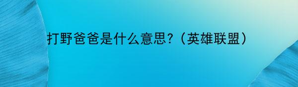 打野爸爸是什么意思?（英雄联盟）