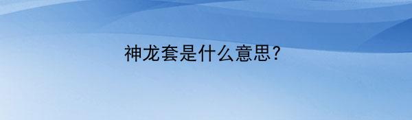 神龙套是什么意思?