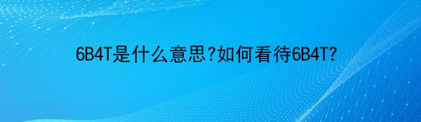 6B4T是什么意思?如何看待6B4T?