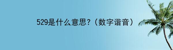 529是什么意思?（数字谐音）