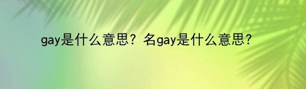 gay是什么意思? 名gay是什么意思? 