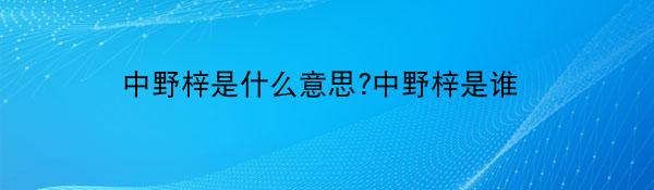中野梓是什么意思?中野梓是谁