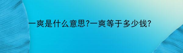 一爽是什么意思?一爽等于多少钱？