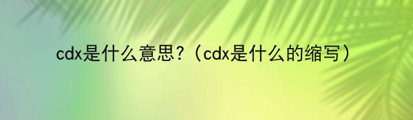 cdx是什么意思?（cdx是什么的缩写）