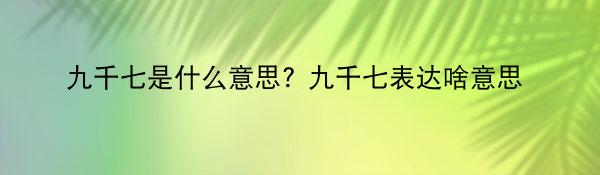 九千七是什么意思? 九千七表达啥意思