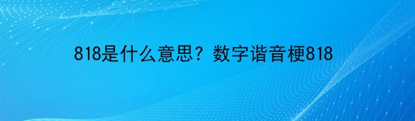 818是什么意思? 数字谐音梗818