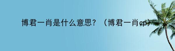 博君一肖是什么意思? （博君一肖cp）
