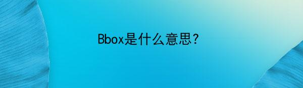 Bbox是什么意思?