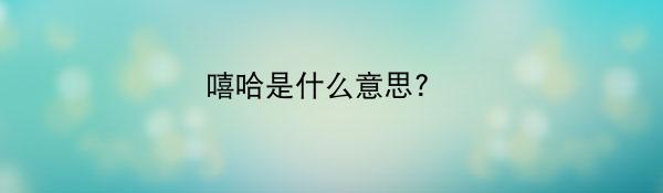 嘻哈是什么意思? 