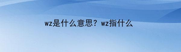 wz是什么意思? wz指什么