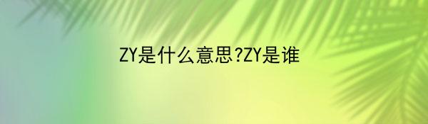 ZY是什么意思?ZY是谁