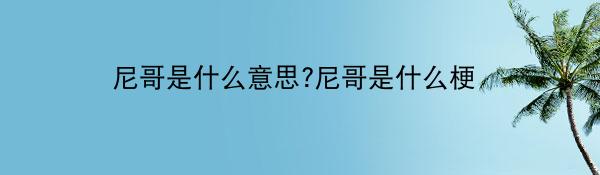 尼哥是什么意思?尼哥是什么梗