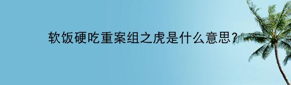 软饭硬吃重案组之虎是什么意思?