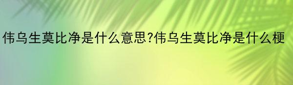 伟乌生莫比净是什么意思?伟乌生莫比净是什么梗