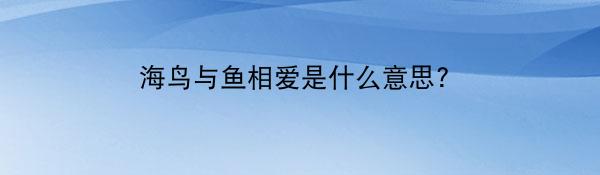 海鸟与鱼相爱是什么意思?