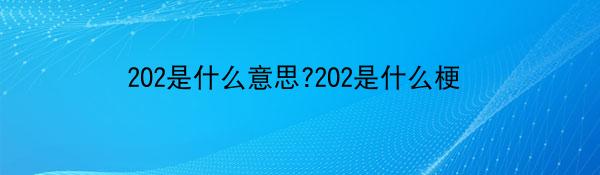 202是什么意思?202是什么梗