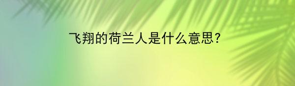 飞翔的荷兰人是什么意思?