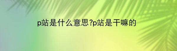 p站是什么意思?p站是干嘛的